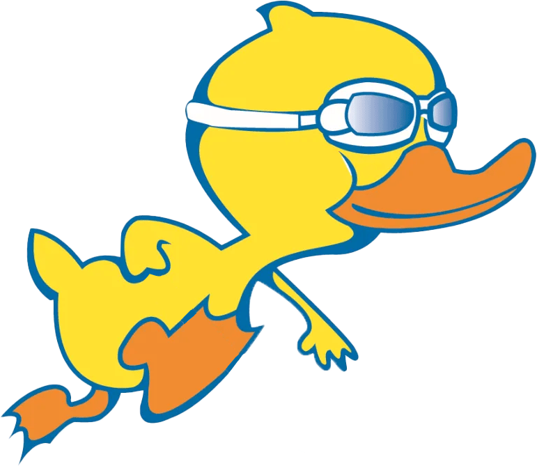 Duck Hocky Icon